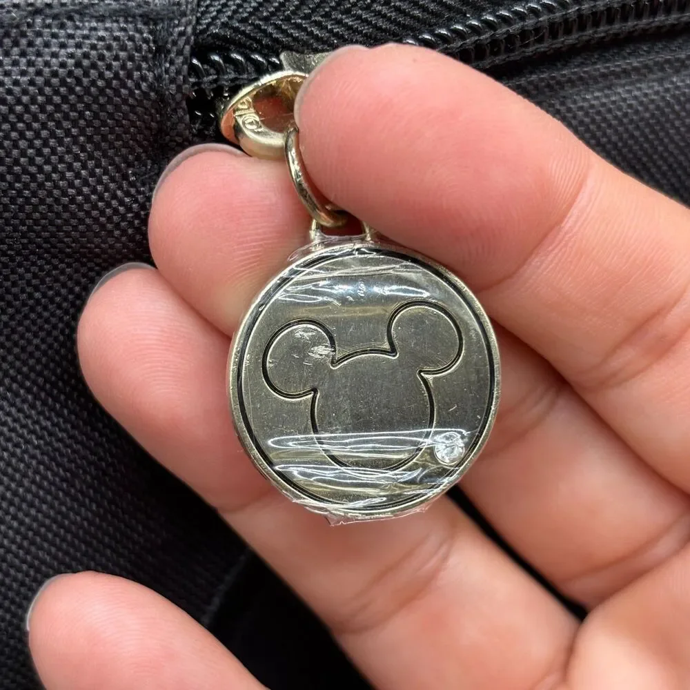 Igloo disney insulated